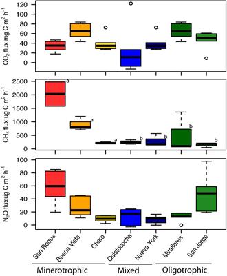 Methanogens and Methanotrophs Show Nutrient-Dependent Community Assemblage Patterns Across Tropical Peatlands of the Pastaza-Marañón Basin, Peruvian Amazonia